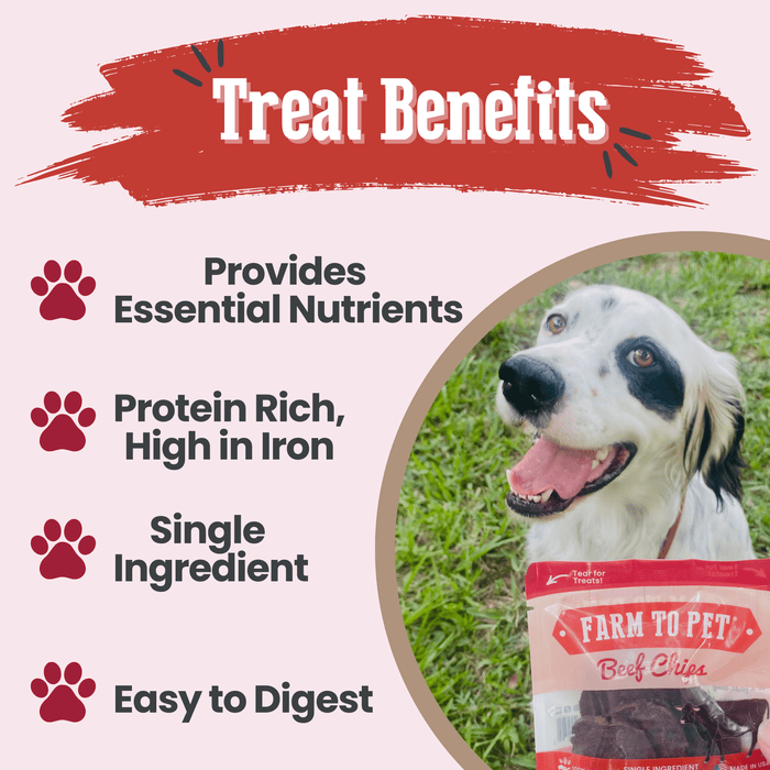 Farm to Pet Beef Chips Snack Pack Training Dog and Cat Treats Bundles
