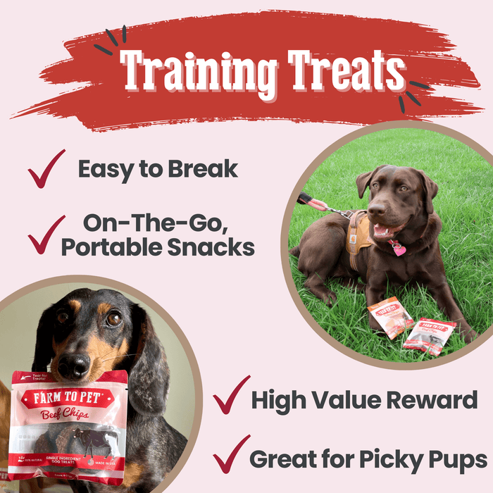 Farm to Pet Beef Chips Snack Pack Training Dog and Cat Treats Bundles