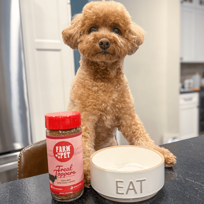 Farm to Pet Treat Topper Beef Dog Powdered Food Topper 4.7 oz