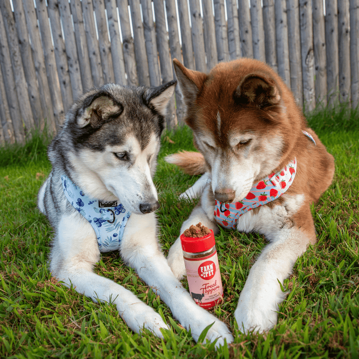 Farm to Pet Treat Topper Beef Dog Powdered Food Topper 4.7 oz