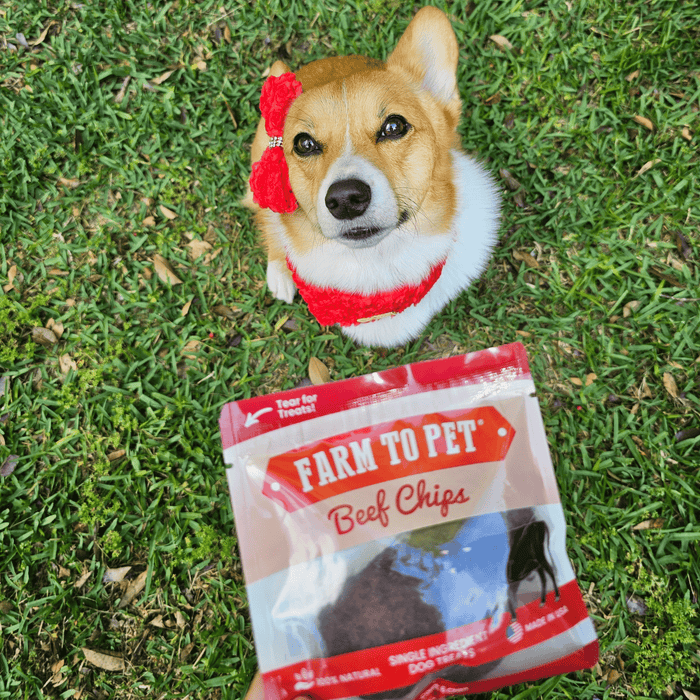 Farm to Pet Beef Chips Snack Pack Training Dog and Cat Treats Bundles