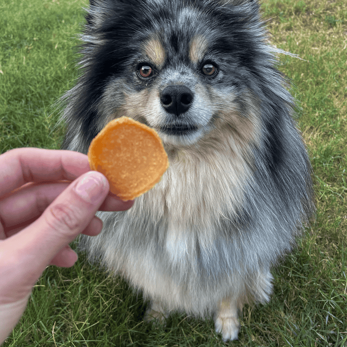 Farm to Pet Chicago Chicken Chips Dog Treats 4 oz