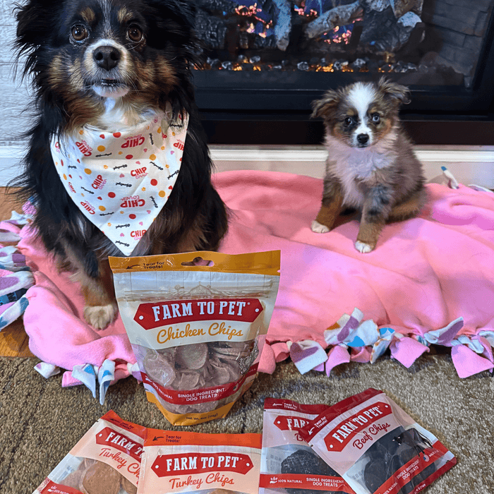 Farm to Pet Puppy Packs 'n Snacks  Single-Ingredient Dog Training Treat Starter Pack