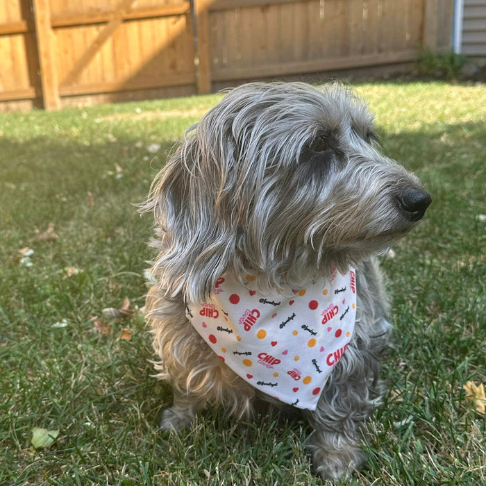 Farm To Pet Tie-on Dog Bandana Adjustable String-tie Bandana for Dogs and Cats