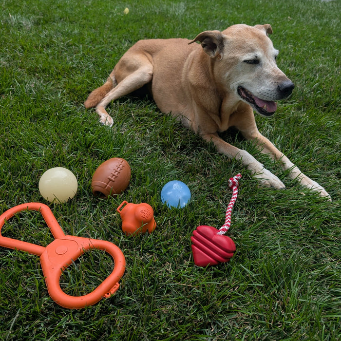 Farm To Pet Chew Toys
