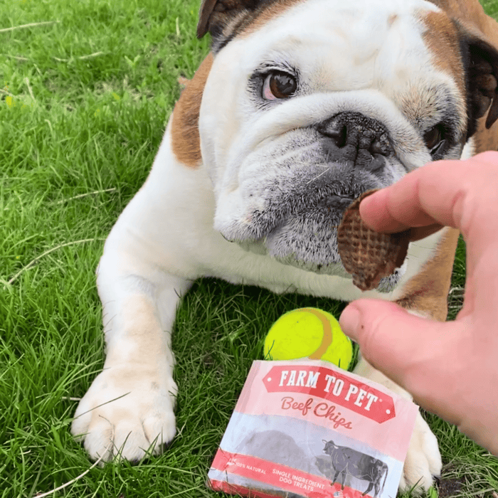 Farm to Pet Beef Chips Snack Pack Training Dog and Cat Treats Bundles