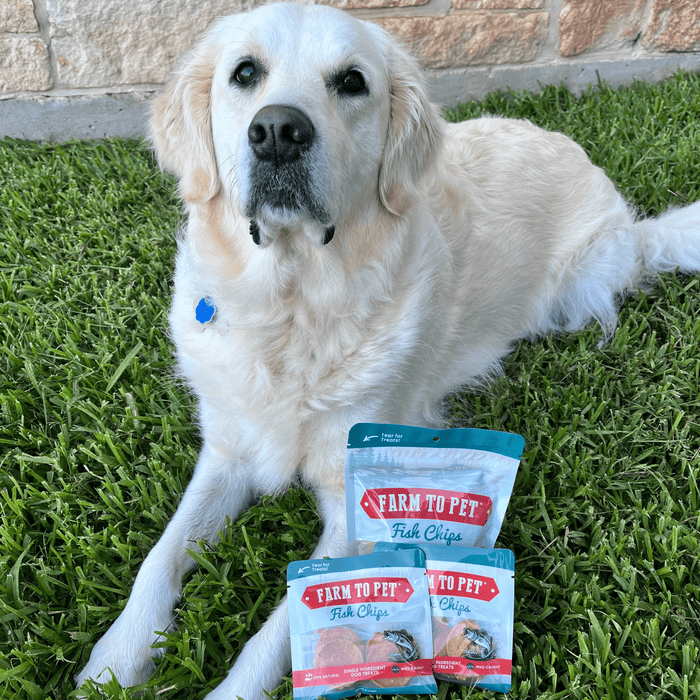 Farm to Pet Fish Chips Dog Treats Snack Pack Bundles