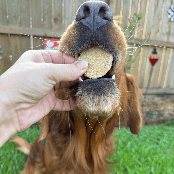 Farm to Pet Fish Chips Dog Treats Snack Pack Bundles