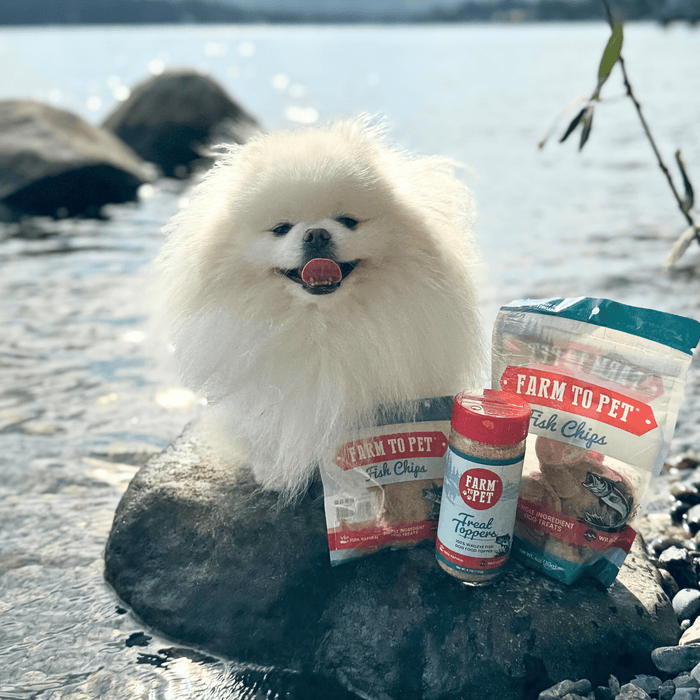 Farm to Pet Treat Topper Fish Dog and Cat Low-Fat Food Topper 4.7 oz
