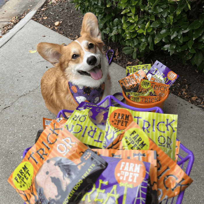 Farm To Pet Halloween Dog Treat Snack Pack Bundle