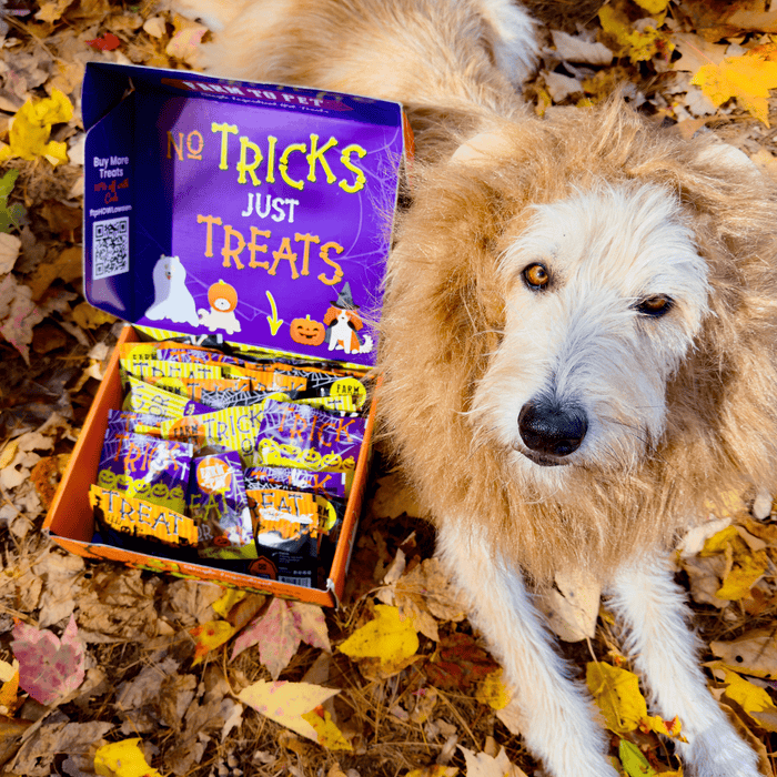 Farm To Pet Halloween 31 Snack Pack Dog Treat Box