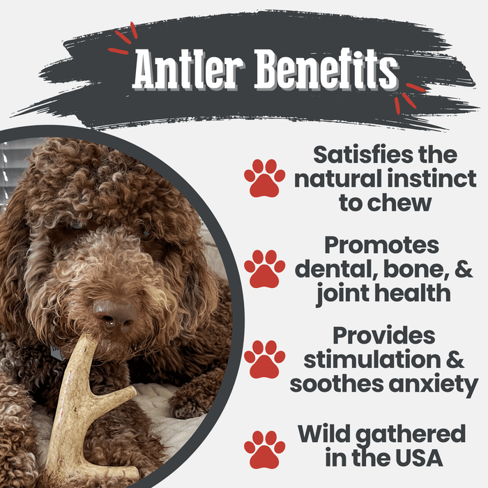 Farm To Pet Deer Antler Organic Dog Chews