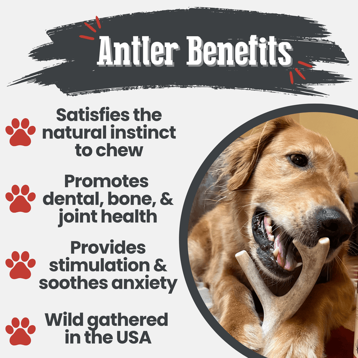 Farm To Pet Deer Antler Organic Dog Chews