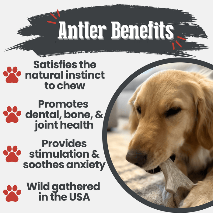 Farm To Pet Deer Antler Organic Dog Chews