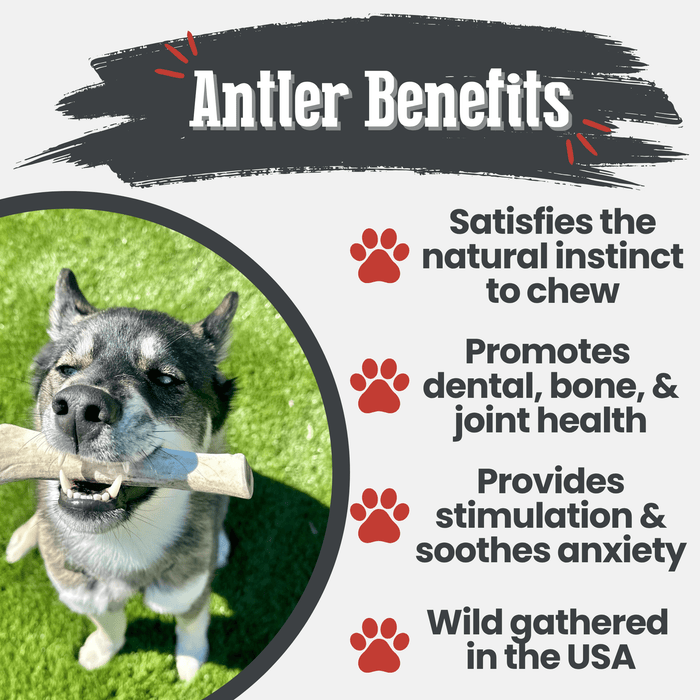 Farm to Pet Reindeer Antler Organic Dog Chews
