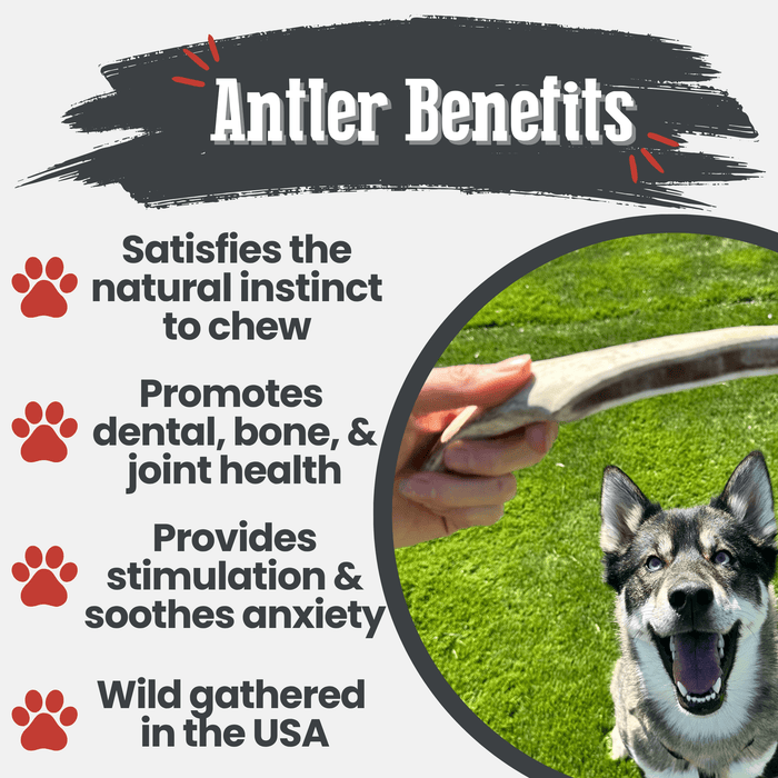 Farm to Pet Reindeer Antler Organic Dog Chews