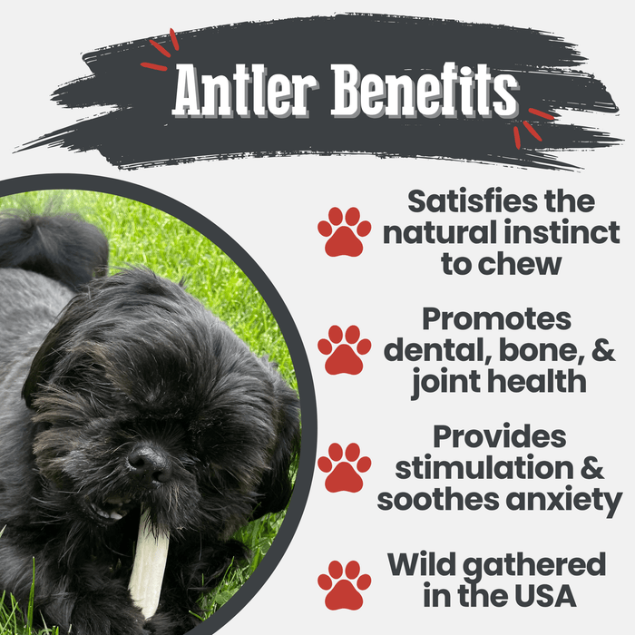 Farm to Pet Reindeer Antler Organic Dog Chews