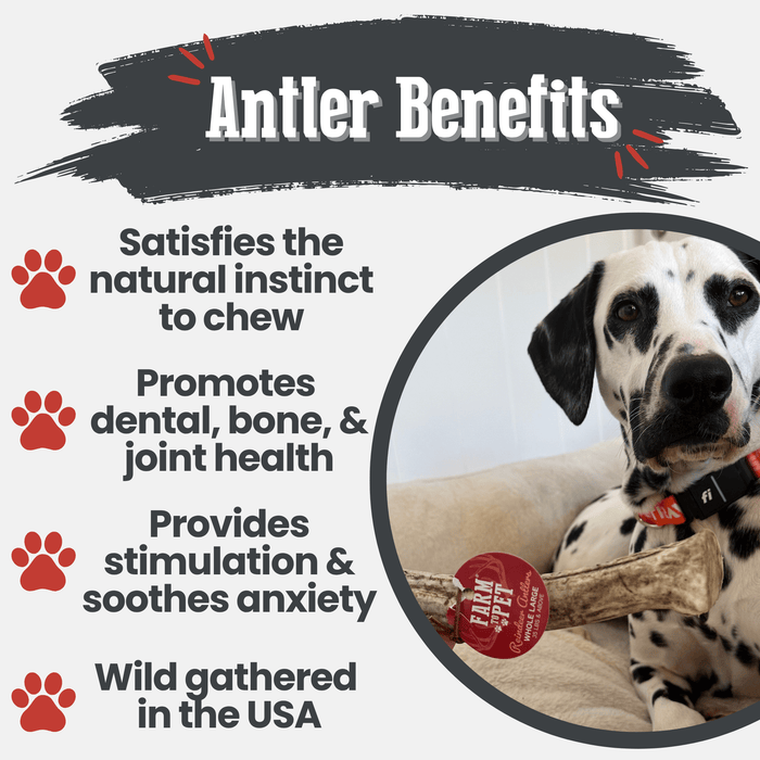 Farm to Pet Reindeer Antler Organic Dog Chews