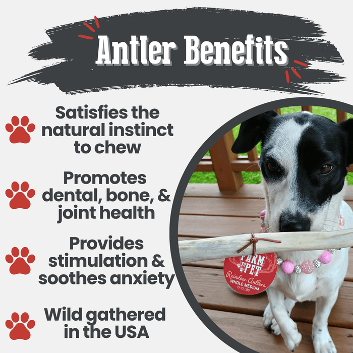 Farm to Pet Reindeer Antler Organic Dog Chews