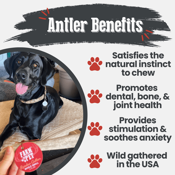 Farm to Pet Reindeer Antler Organic Dog Chews