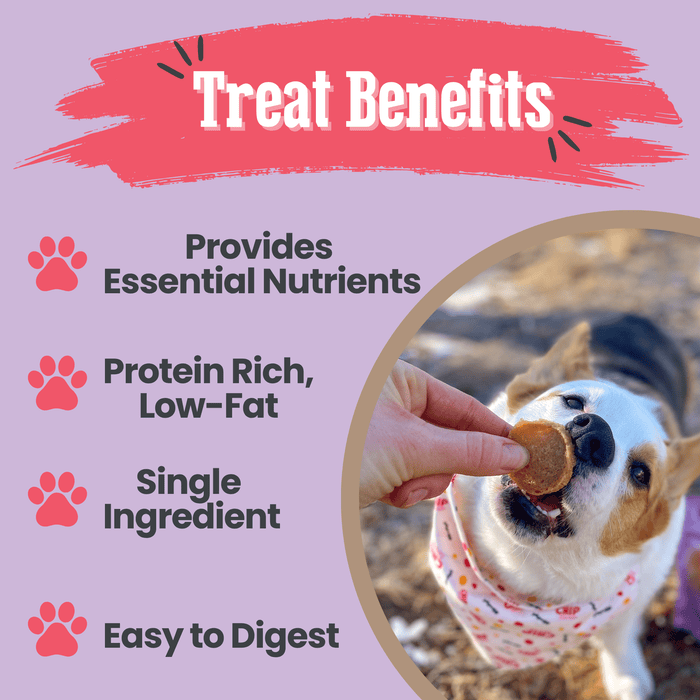 Farm to Pet Poultry Chip Puppy Love Dog Treat Duo