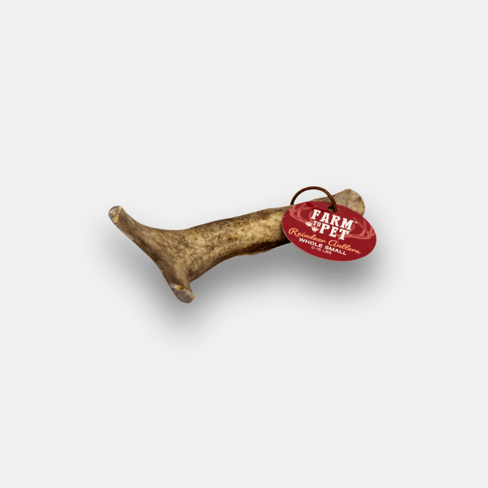 Farm to Pet Reindeer Antler Organic Dog Chews