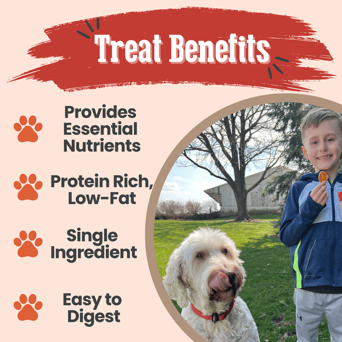 Farm to Pet All-Natural Single-Ingredient Turkey Chips Dog Treats