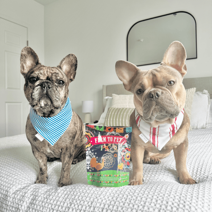 Farm to Pet Premios Para Perros Fiesta Pack Dog Treat Variety Bundle
