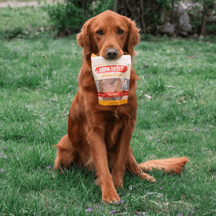 Farm to Pet Chicken Chips All-Natural Single-Ingredient Dog Treats