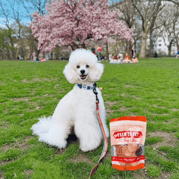 Farm to Pet All-Natural Single-Ingredient Turkey Chips Dog Treats