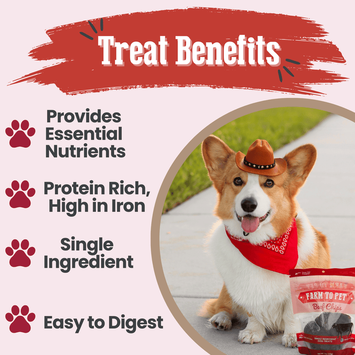 Farm to Pet Beef Chips Single-Ingredient Healthy Dog Treats