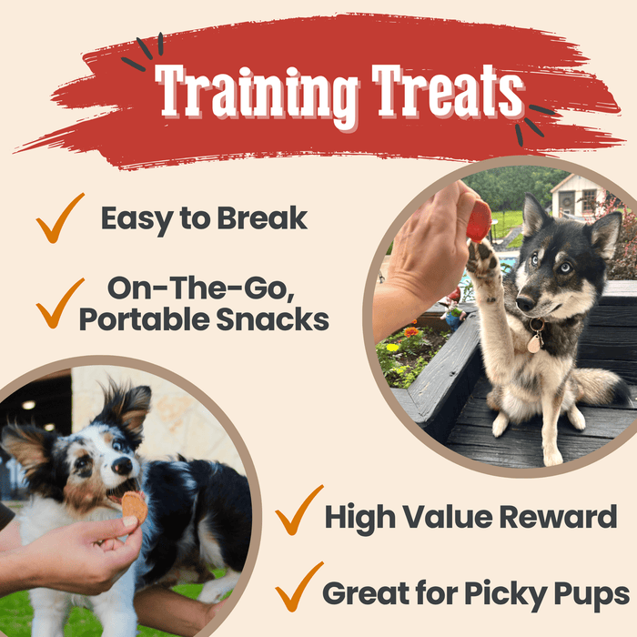 Farm to Pet Turkey & Chicken Chip Single-Ingredient Dog Treat Duo