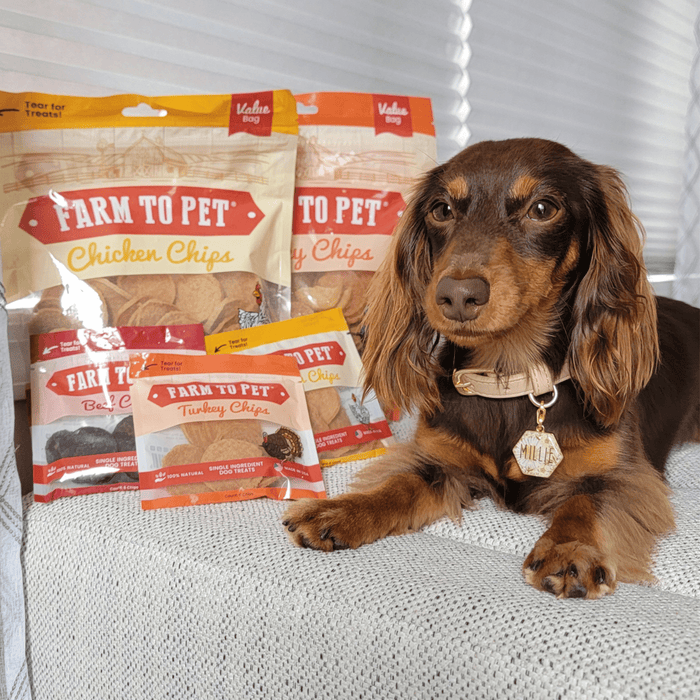 Farm to Pet Turkey & Chicken Chip Single-Ingredient Dog Treat Duo