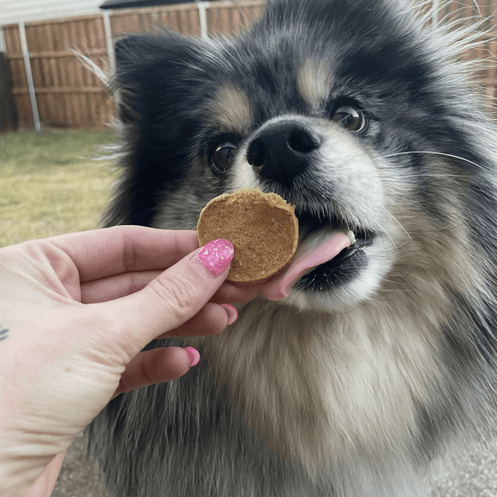 Farm to Pet Fish Chips for Dogs Wild-Caught Dog Treats
