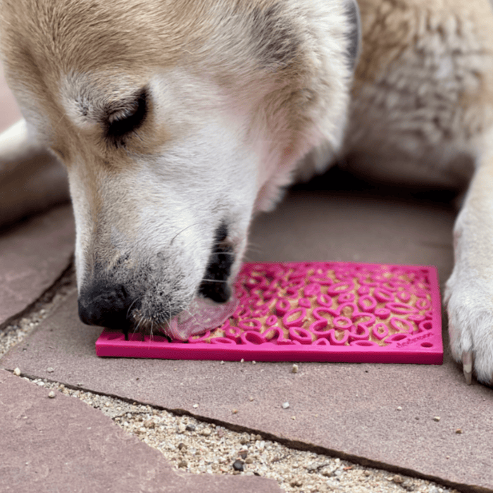 Farm To Pet Lick Mats for Cats and Small Dogs