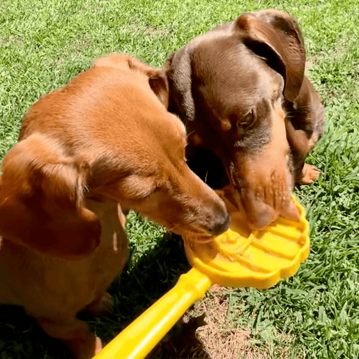 Farm To Pet Lick Sticks Interactive Dog Training Toy