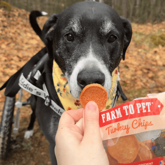 Farm to Pet Turkey Chips Snack Pack Low Allergen Dog and Cat Treats Bundles