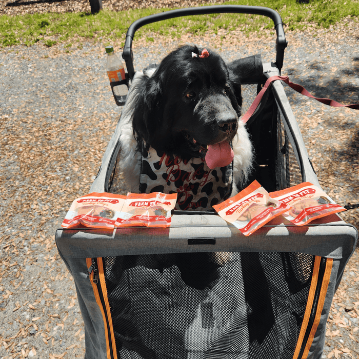 Farm to Pet Turkey Chips Snack Pack Low Allergen Dog and Cat Treats Bundles
