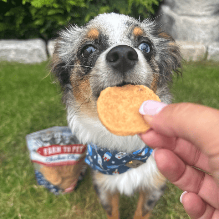 Farm to Pet Americana Chicken Chips Dog Treats