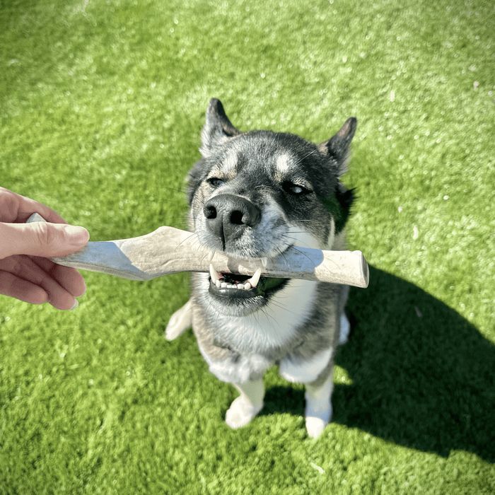 Farm to Pet Reindeer Antler Organic Dog Chews