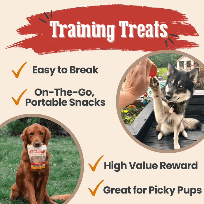 Farm to Pet Turkey & Chicken Chip Single-Ingredient Dog Treat Duo