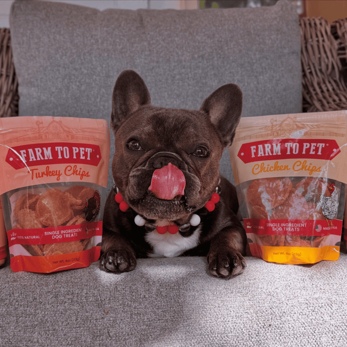 Farm to Pet Turkey & Chicken Chip Single-Ingredient Dog Treat Duo