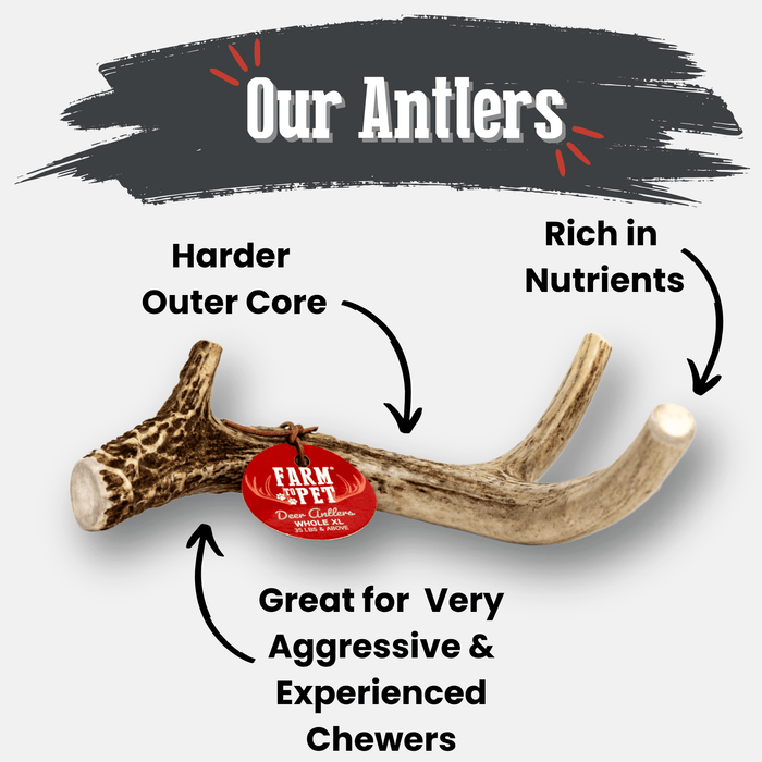Farm To Pet Deer Antler Organic Dog Chews