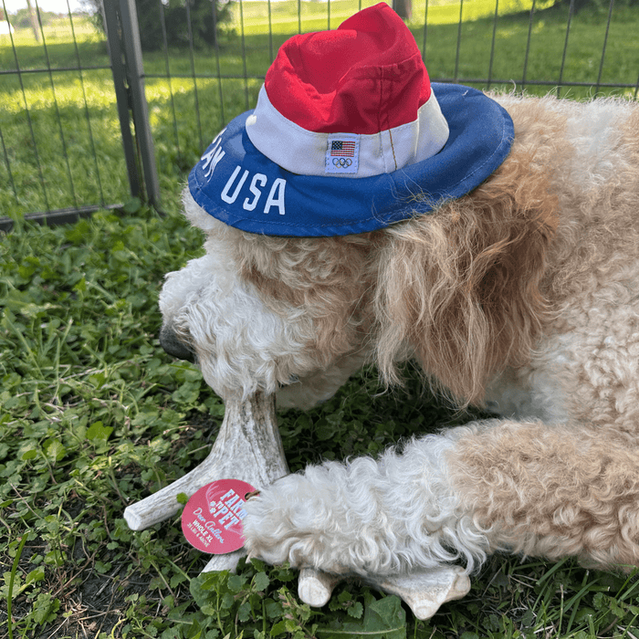 Farm To Pet Deer Antler Organic Dog Chews