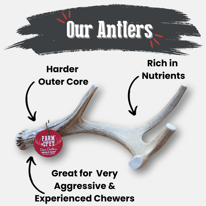 Farm To Pet Deer Antler Organic Dog Chews