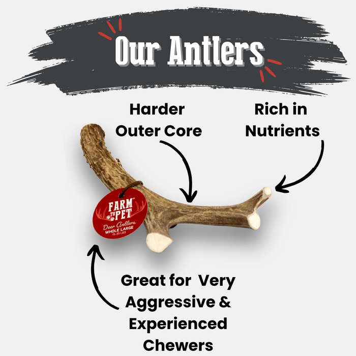 Farm To Pet Deer Antler Organic Dog Chews