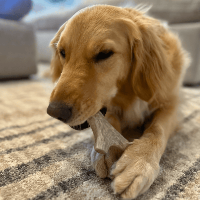 Farm To Pet Deer Antler Organic Dog Chews