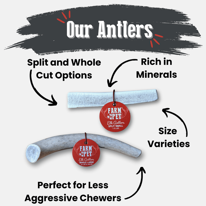 Farm to Pet All-Natural Whole and Split Elk Antler Dog Chews