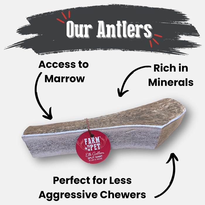 Farm to Pet All-Natural Whole and Split Elk Antler Dog Chews