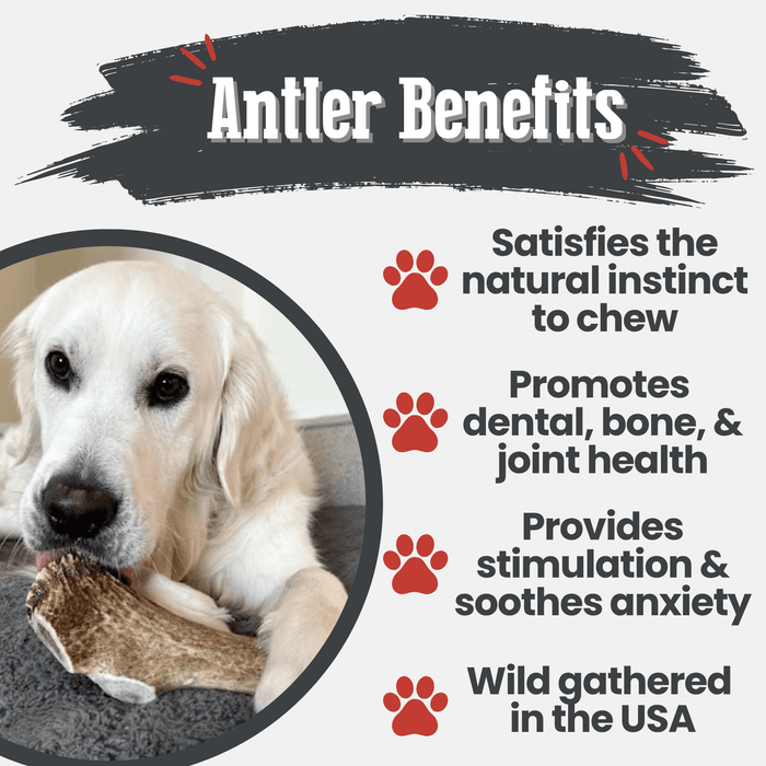 Farm to Pet All-Natural Whole and Split Elk Antler Dog Chews